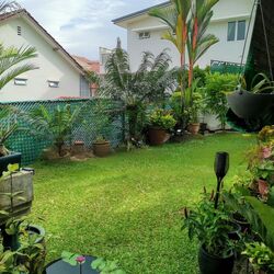 Jalan Sembilang (D20), Detached #458375321